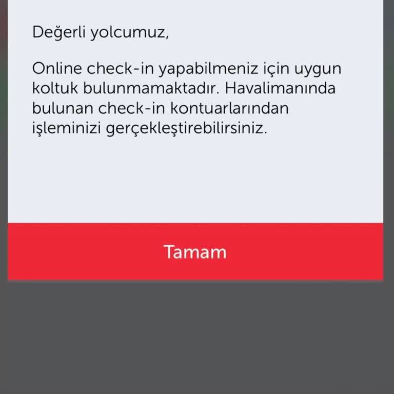 Online Check-in Sorunu Nedeniyle Uçuşu Kaçırdım Ve Ek Ücret Ödedim