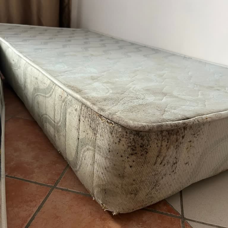 Otel Girişinde Eksik Yatak Ve Yetersiz Temizlik Sorunları