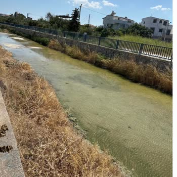 Urla Atatürk Mahallesi'nde Yıllardır Çözülemeyen Yol Ve Güvenlik Sorunu