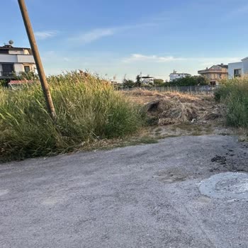 Urla Atatürk Mahallesi'nde Yıllardır Çözülemeyen Yol Ve Güvenlik Sorunu