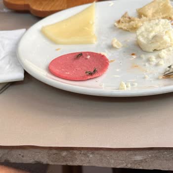 Elizinn Pastanesi'nde Hijyen Eksikliği Ve İlgisiz Personel Mağduriyeti