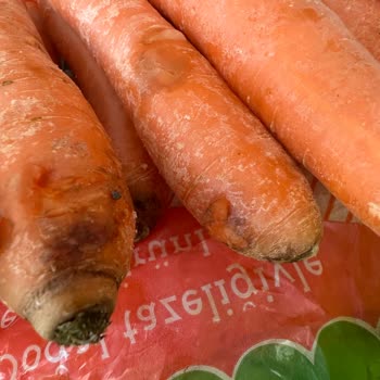 Migros Teslim Edilen Siparişte Bozuk Ve Erimiş Ürünler, İletişimsizlik Ve İade Sorunu