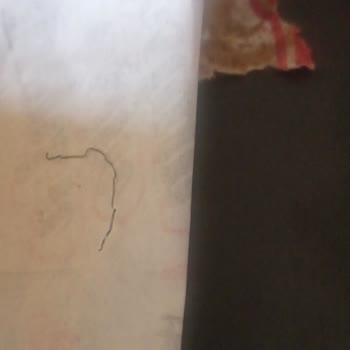 Yemekte Bulaşık Teli Çıktı, Şube İlgisiz Davrandı