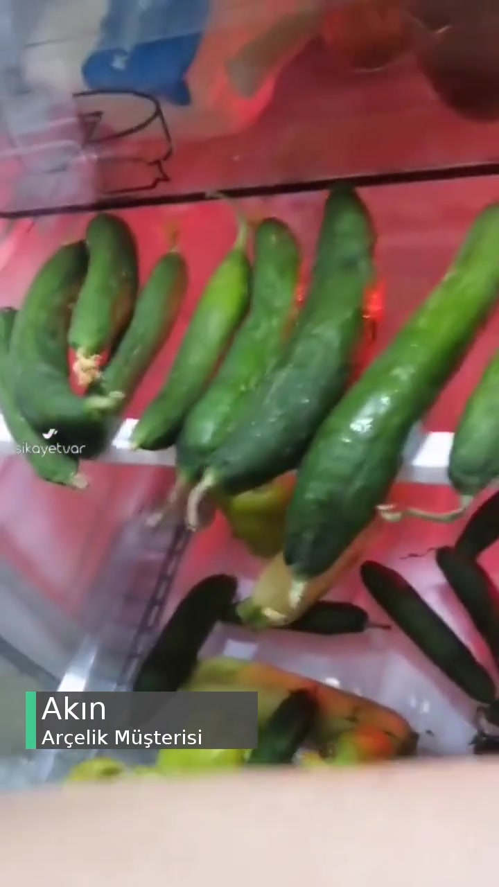 Sıfır Aldığımız Arçelik Buzdolabı Sebzeleri Çürütüyor videonun kapak resmi