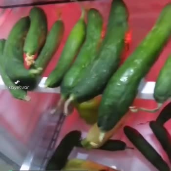 Sıfır Aldığımız Arçelik Buzdolabı Sebzeleri Çürütüyor