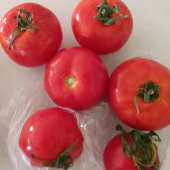 Migros Sanal Market’ten Çürük Ve Eksik Ürün, İade Yapılmıyor!