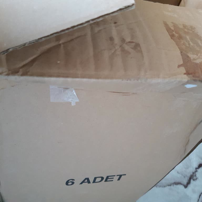 Hasarlı Kargo Teslimatı Ve Yetersiz Çözüm