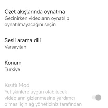 Güvenli İnternet Kapalı Olmasına Rağmen YouTube Kısıtlaması Devam Ediyor