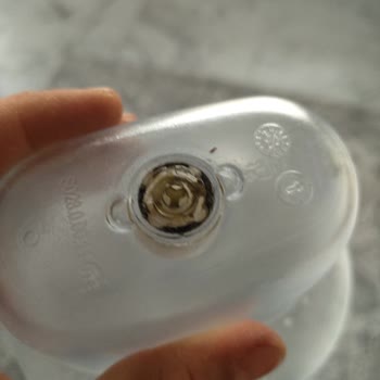 Brita Aluna Sürahide Sürekli Yosunlaşma Ve Garanti Dışı Destek Talebi