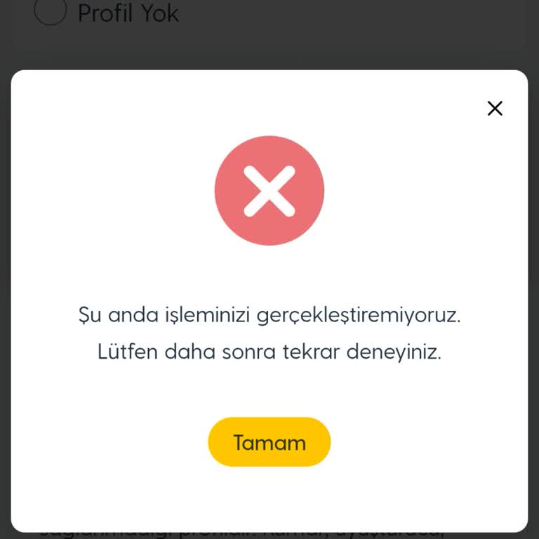 Güvenli İnternet Ayarı Değişikliği Haftalardır Yapılamıyor, Destek Yetersiz Kalıyor