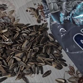 Çitlenip Paketlenmiş Amigo Çekirdek