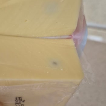 Aldığım Kaşar Peynirinden Küf Çıktı, Sağlığımız Tehlikede!