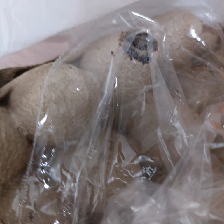 Küflü Yumurta Satışı Ve Aynı Gün İade Sorunu