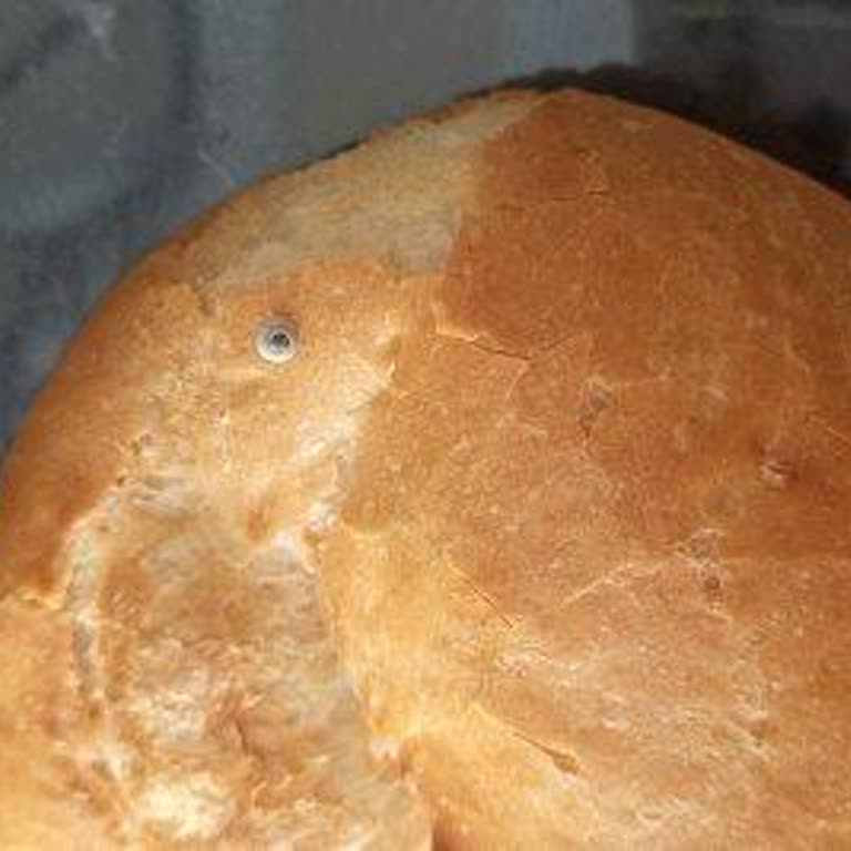 Aldığım Ekmekte Salyangoz Buldum Hijyen Endişesi Yaşıyorum