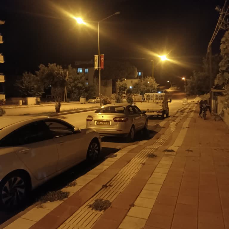 Amasya Taşova’da Her Yıl Tekrarlayan Sivrisinek Sorunu Ve Belediyenin İlgisizliği