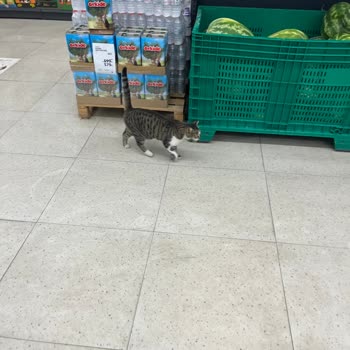 Market Şubesinde Sürekli Hijyen ve İletişim Sorunu