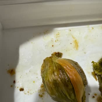 Midye Tatlısında Kıl Şoku: Hijyen Sorunu Ve Ücret İadesi Talebi