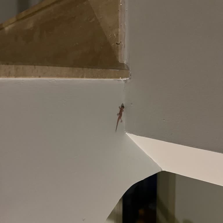 Kiraladığımız Villa Beklentileri Karşılamadı: Temizlik Sorunları Ve Eksik Hizmetle Mağduriyet Yaşadık