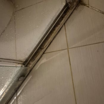 Lykia Botanica Otel’de Hayal Kırıklığı: Temizlik, Hizmet Ve Mağduriyet