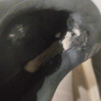 Kısa Sürede Hasar Gören Ayakkabı İçin Değişim Talebim Reddedildi