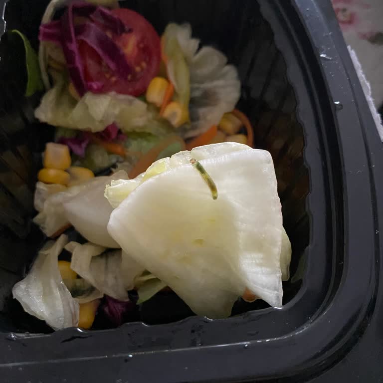 Salatamdan Tırtıl Çıktı, Hijyen Ve Güvenim Sarsıldı