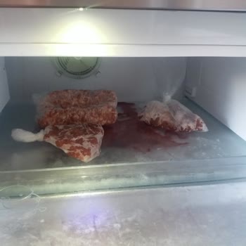 Arçelik Buzdolabında Sürekli Isınma Ve Dondurucu Sorunu, Ürün Değişimi Talebi