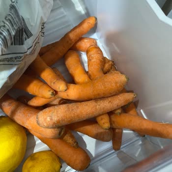 Profilo Buzdolabı Gıdaları Bozuyor, Servis Çözüm Sunmuyor