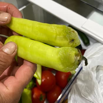 Profilo Buzdolabı Gıdaları Bozuyor, Servis Çözüm Sunmuyor