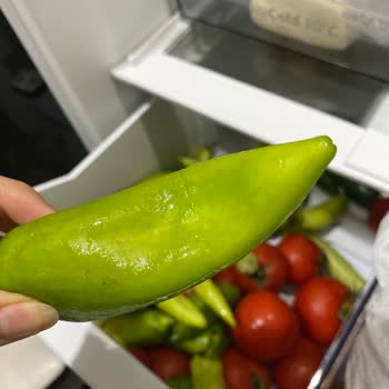 Profilo Buzdolabı Gıdaları Bozuyor, Servis Çözüm Sunmuyor