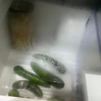 Profilo Buzdolabı Gıdaları Bozuyor, Servis Çözüm Sunmuyor