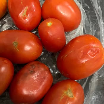 Çürük Domates Ve Eksik Ürün Teslimatı, Müşteri Hizmetlerine Ulaşılamıyor