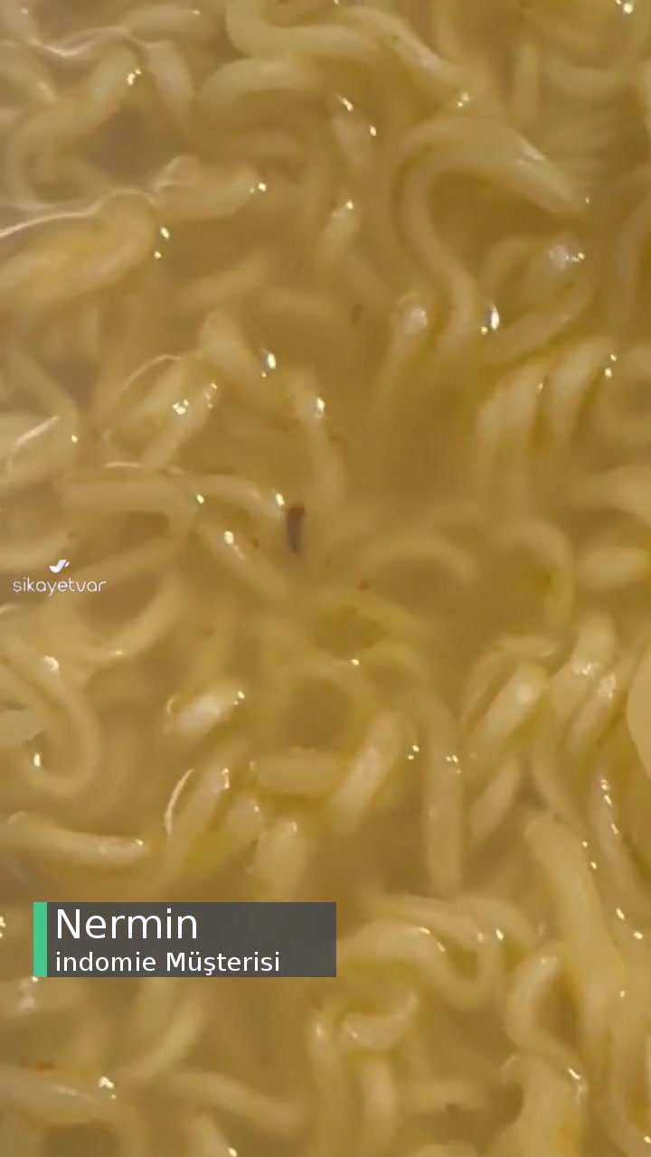indomie Noodle'da Böcek Çıktı! videonun kapak resmi