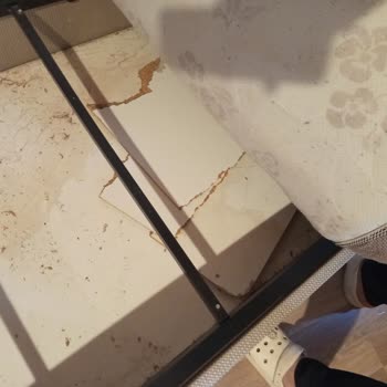 Sivas Stüdyo Apart’ta Temizlik Ve Hijyen Sorunları Nedeniyle Ücret İadesi Talebim