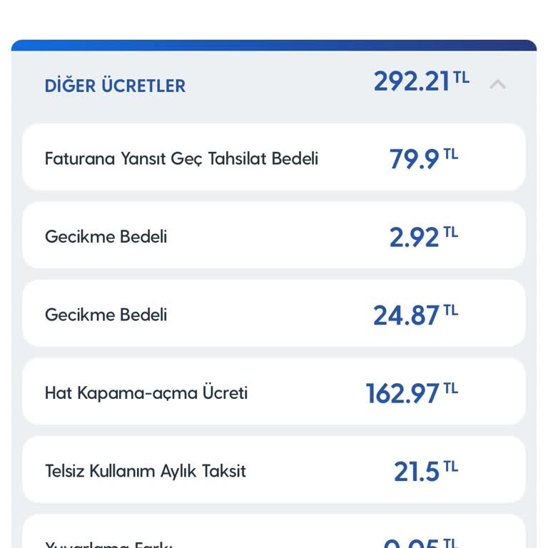 Fatura Gecikmelerinde Yüksek Faiz Uygulaması Ve Çözüm Eksikliği