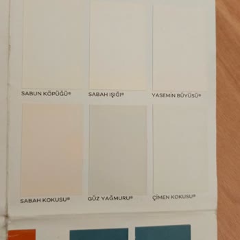 Boya Rengi Katalog ve Gerçek Sonuç Uyumsuzluğu