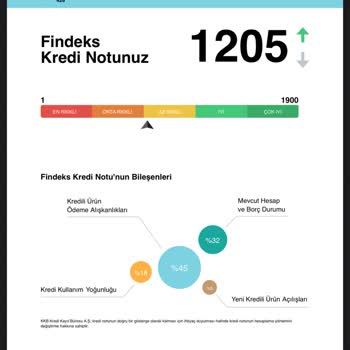 50 TL Borç İçin Findeks Puanımda Haksız Düşüş Yaşadım