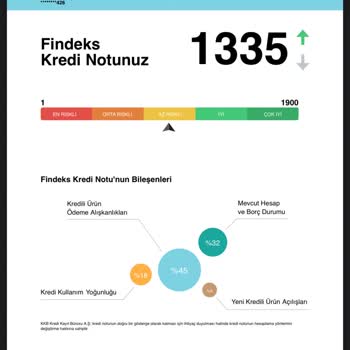 50 TL Borç İçin Findeks Puanımda Haksız Düşüş Yaşadım