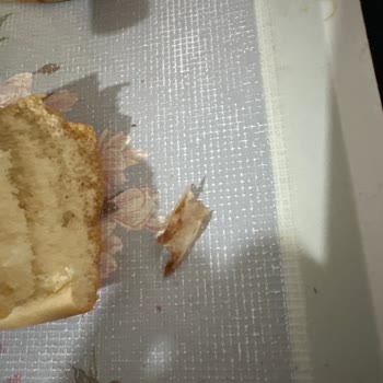 Sandviç Ekmeğinde Plastik Benzeri Yabancı Maddeyle Karşılaştım