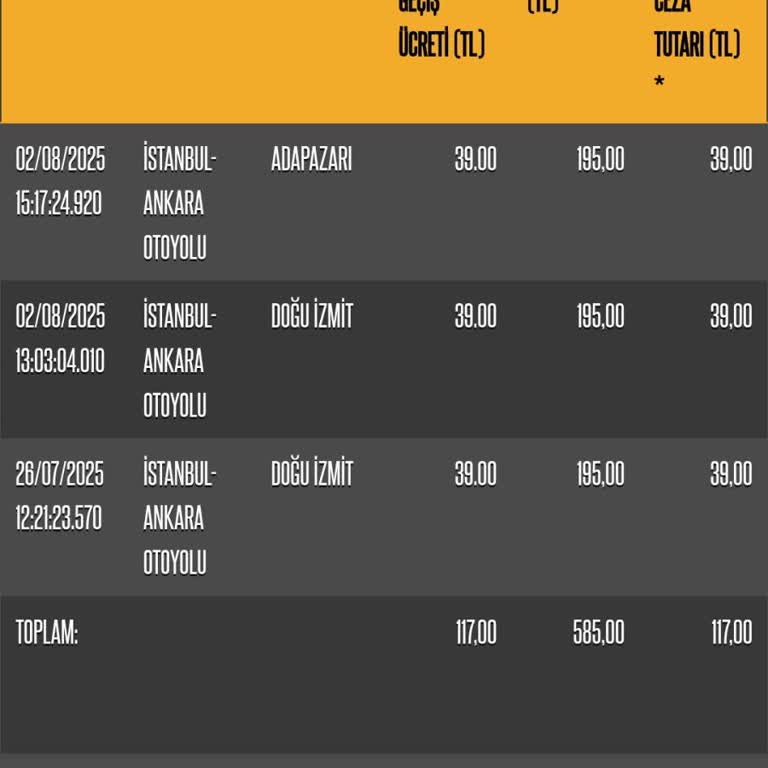 Otoban Geçiş Borcum Sisteme Yansımıyor, Ödeme Yapamıyorum Endişeliyim