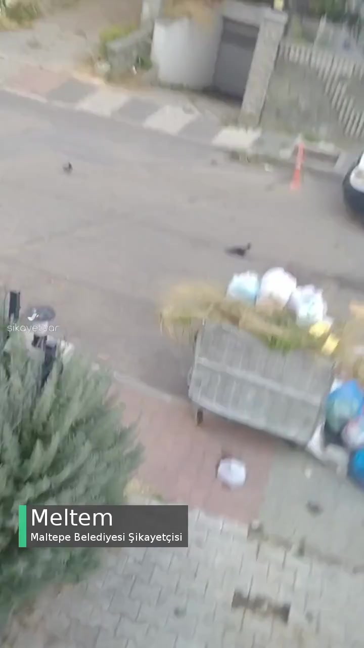 Maltepe Belediyesi Garaj Önüne Konteyner Koyuyorsunuz, Araçlar Garajda Mahsur Kalıyor! videonun kapak resmi