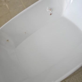 Tems Bulaşık Makinesi Deterjanı Bulaşıkları Temizlemiyor Lekeli Ve Yağlı Bırakıyor