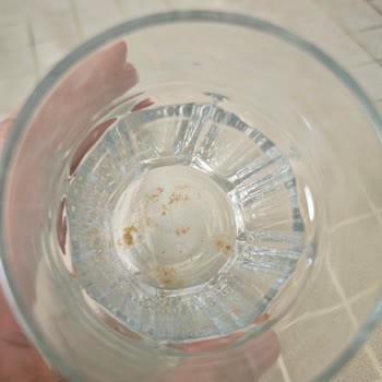 Tems Bulaşık Makinesi Deterjanı Bulaşıkları Temizlemiyor Lekeli Ve Yağlı Bırakıyor