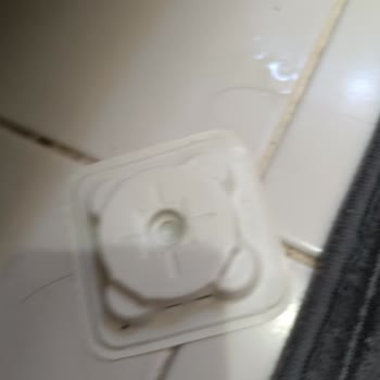 Detan Karınca Yemi Karıncaları Uzaklaştırmıyor