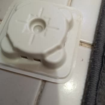 Detan Karınca Yemi Karıncaları Uzaklaştırmıyor