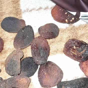 Aldığım Çerezya Gün Kurusu Beklentilerimi Karşılamadı