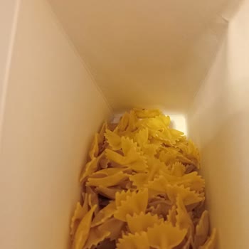 Aldığım Makarna Paketinden Böcek Çıktı: Ürün Değişimi Ve İnceleme Talebim