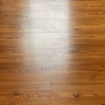 Parex Wondero Mop Yerde İz Bırakıyor