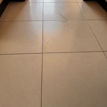 Parex Wondero Mop Yerde İz Bırakıyor