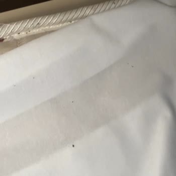 Otel Odasında Böcek Ve Hijyen Sorunu Nedeniyle Mağduriyet Yaşadık