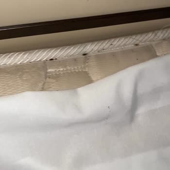 Otel Odasında Böcek Ve Hijyen Sorunu Nedeniyle Mağduriyet Yaşadık